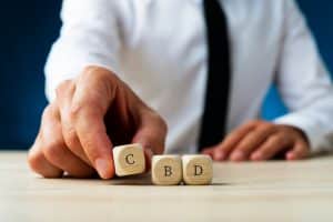 cbd company seo service